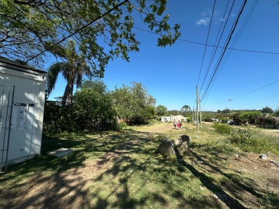 Terrenos en Venta en Zona Cerro, Salto, Salto