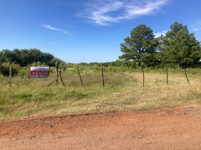 Chacra en Venta en Salto, Salto