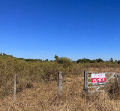 Terrenos en Venta en Salto Nuevo, Salto, Salto