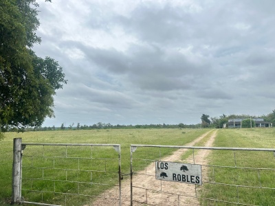 Chacra en Venta en COLONIA OSIMANI, Salto, Salto
