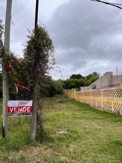 Terrenos en Venta en Barrio Universitario, Salto, Salto