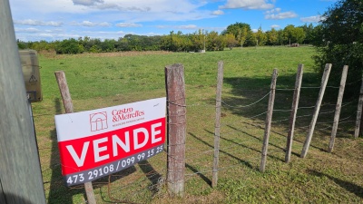 Campos y Chacras en Venta en COLONIA OSIMANI, Salto, Salto