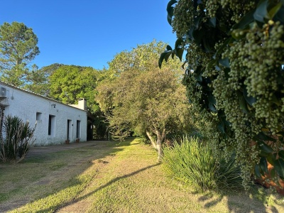 Casas en Venta en Zona este, Salto, Salto