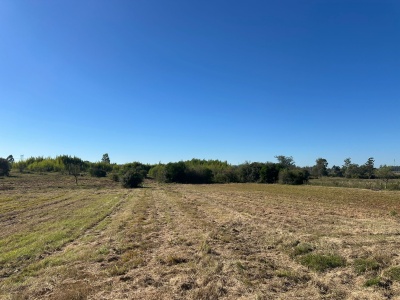 Campos y Chacras en Venta en Salto, Salto