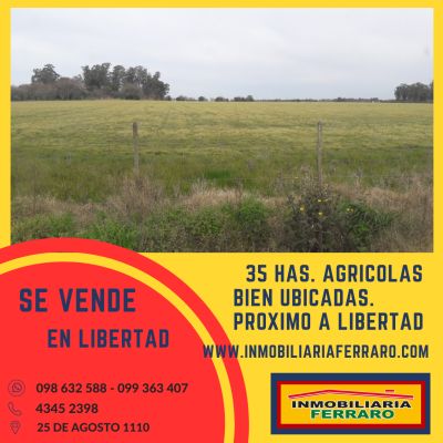 Campo / Chacra en Venta en Libertad, San José