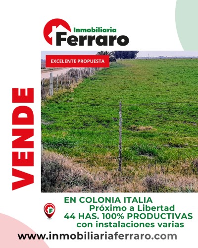 Campos y Chacras en Venta en COLONIA ITALIA, Libertad, San José