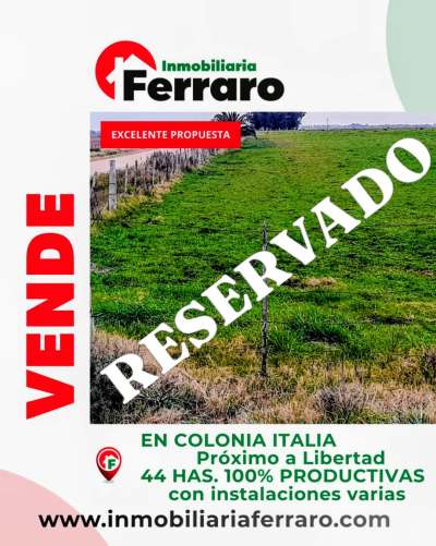 Campo en Venta en Colonia Italia, Libertad, San José