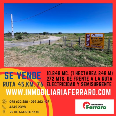 Campos y Chacras en Venta en RURAL, Rincon De Albano, San José