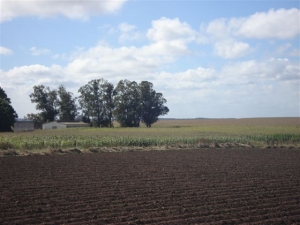 Campo / Chacra en Venta en Libertad, San José