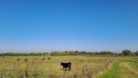 Campos y Chacras en Venta en San Antonio, Canelones