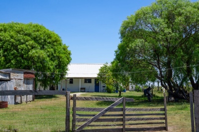 Campos y Chacras en Venta en Minas, Lavalleja
