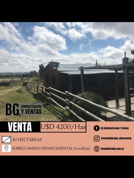 Campo / Chacra en Venta en Colón, Lavalleja