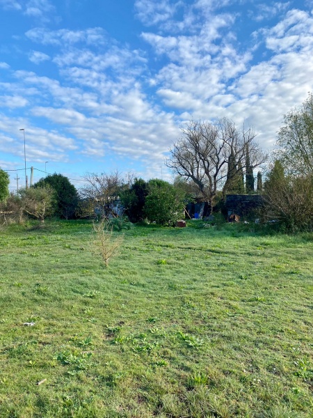 Campo / Chacra en Venta en Minas, Lavalleja