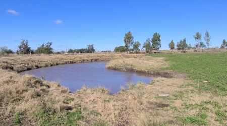 Campo / Chacra en Venta en Tala, Canelones