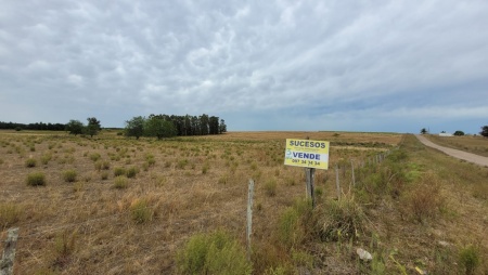 Campo / Chacra en Venta en Migues, Canelones