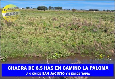 Campos y Chacras en Venta en San Jacinto, Canelones