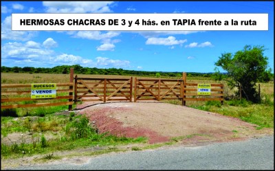 Campos y Chacras en Venta en Tapia, Canelones