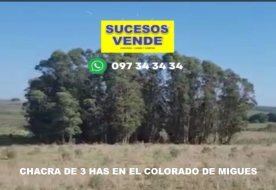 CHACRITAS en Venta en Pando, Canelones