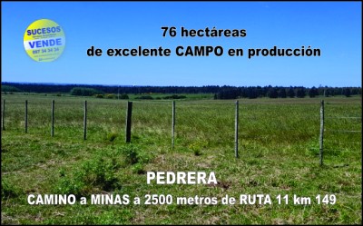 Campos y Chacras en Venta en Pedrera, Canelones