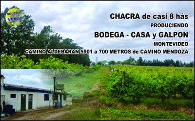 Campos y Chacras en Venta en Manga, Montevideo