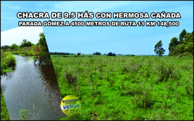 Campos y Chacras en Venta en Pedrera, Canelones