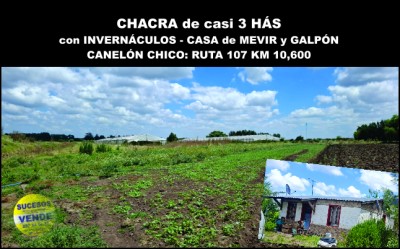 Chacra en Venta en Canelón Chico, Canelones