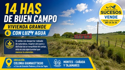 Campos y Chacras en Venta en COLONIA GIANNASTTASIO A 3 KM DE PEDRERA, Pedrera, Canelones
