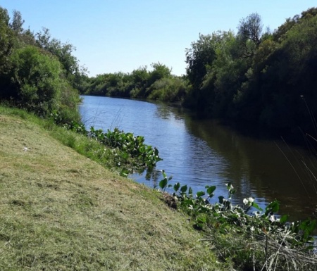 Campos y Chacras en Venta en Fray Bentos, Río Negro