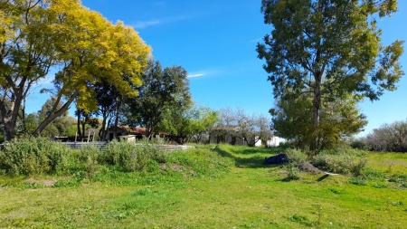 Campos y Chacras en Venta en Fray Bentos, Río Negro