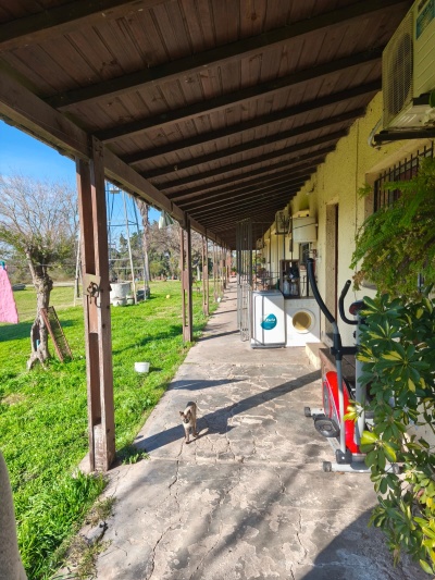 Campo en Venta en Fray Bentos, Río Negro