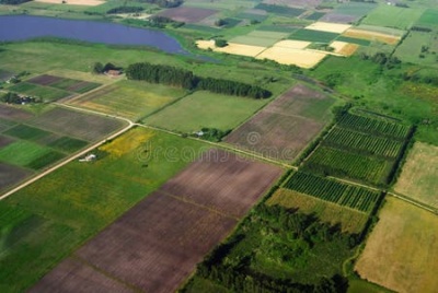 Campo en Venta en Fray Bentos, Río Negro