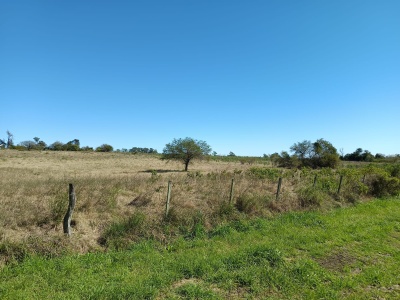 Campo en Venta en Fray Bentos, Río Negro