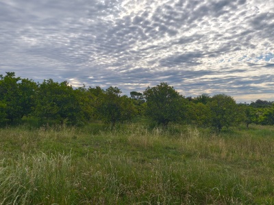 Campo en Venta en Fray Bentos, Río Negro