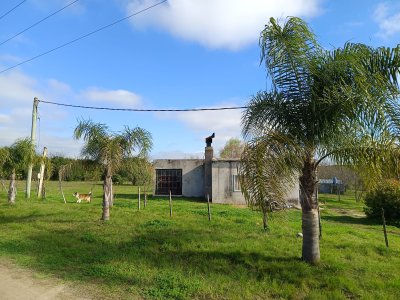 Campo en Venta en Fray Bentos, Río Negro