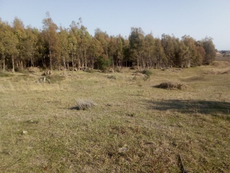 SOBRE CUCHILLA DE HAEDO en Venta en Cuchilla de Haedo, Guichón, Paysandú