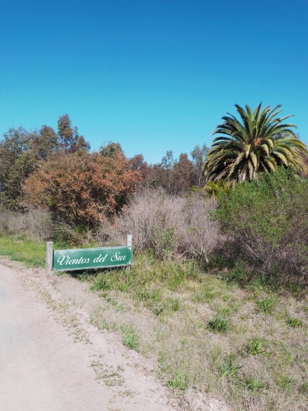 Bungalows / Cabañas en Alquiler en ARRAYANES, Los Arrayanes, Soriano