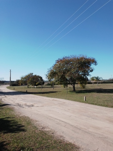 Terrenos en Venta en  Altos Arrayanes Barrio Parque, Los Arrayanes, Soriano