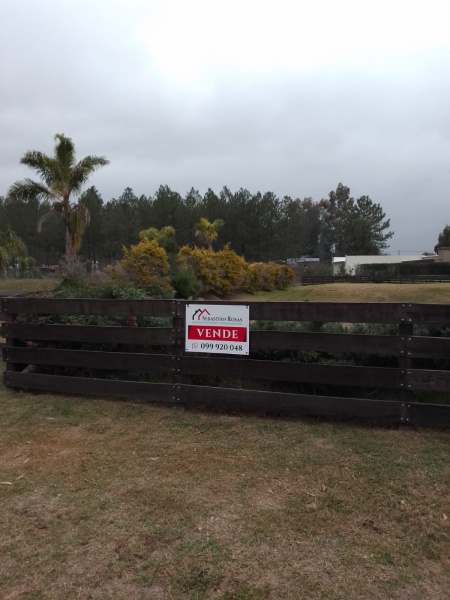 Terrenos en Venta en  Altos Arrayanes Barrio Parque, Los Arrayanes, Soriano