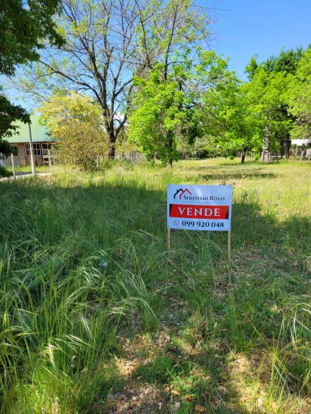 Terreno en Venta en ARRAYANES, Los Arrayanes, Soriano