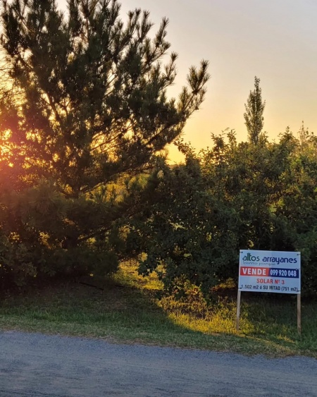 Terreno en Venta en Mercedes, Soriano