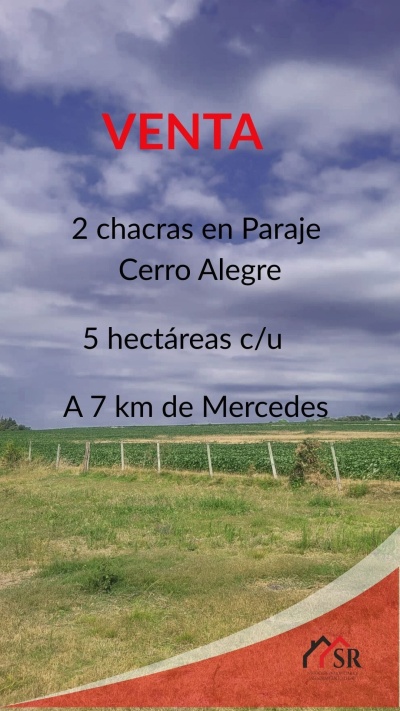 Chacra en Venta en Paraje Cerro Alegre, Soriano