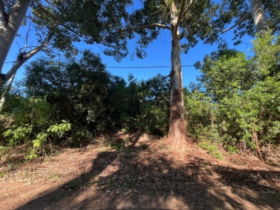Terrenos en Venta en Salto, Salto