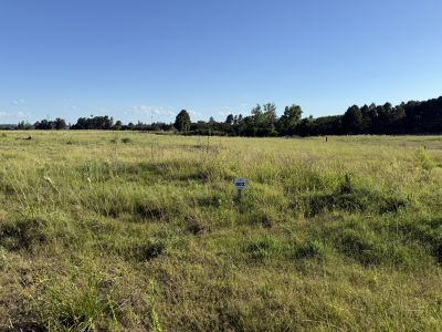 Terrenos en Venta en Salto, Salto