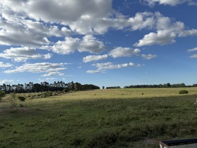 Campos y Chacras en Venta en Salto, Salto