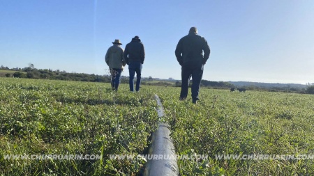 Campo / Chacra en Venta en Mercedes, Soriano