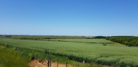 Campo / Chacra en Venta en Paraje Cololó, Soriano