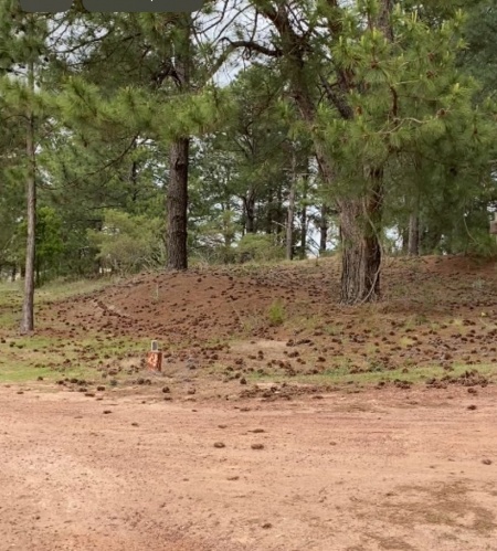 Terreno en Venta en Mercedes, Soriano