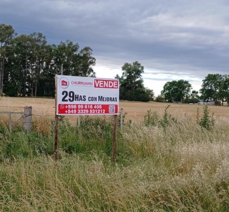 Campo / Chacra en Venta en Colonia del Sacramento, Colonia