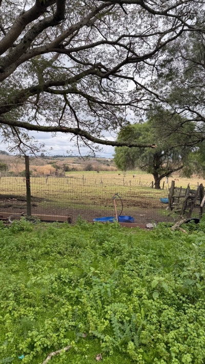 Terreno en Alquiler en Manga, Montevideo
