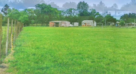 Terreno en Venta en TERMAS, Salto, Salto